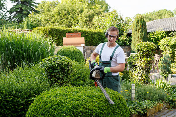 Best Pest Control for Lawns  in USA